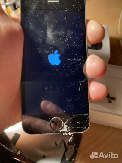 Телефон iPhone 5s