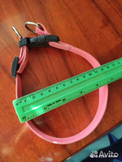 Ошейник для собак