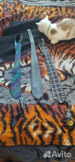 Рыбомер галстуки