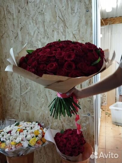 101 Роза, букет 40 см