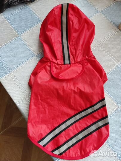 Одежда для собак мелких пород