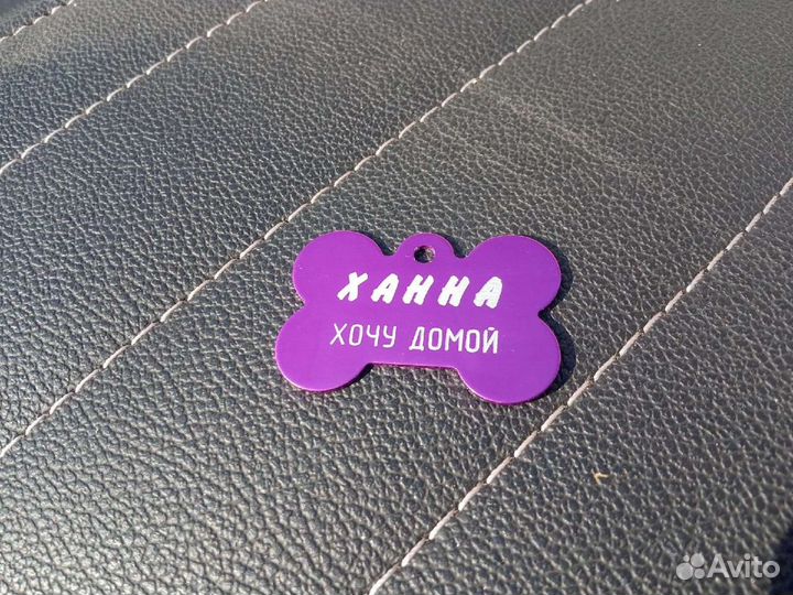 Адресник для животных