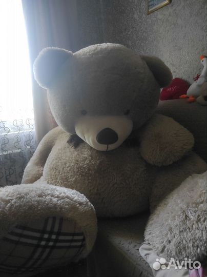Медведь плюшевый гигант