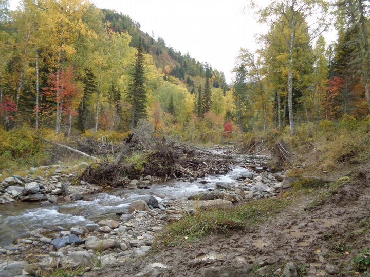 Участок 7,4 га (СНТ, ДНП)