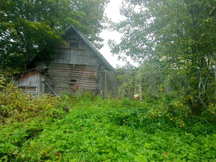 Участок 54,2 сот. (ИЖС)