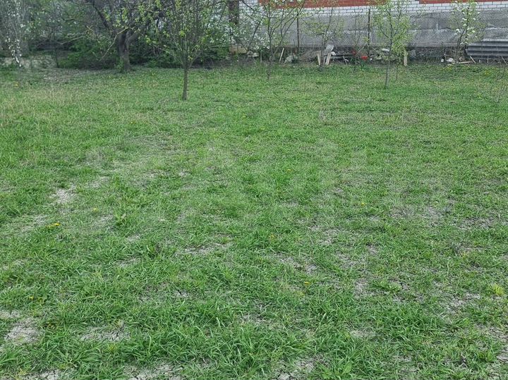 Дом 60 м² на участке 10 сот.