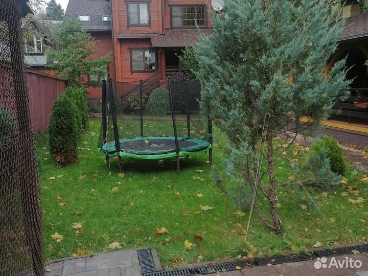 Передержка крупных собак, выгул и кормление