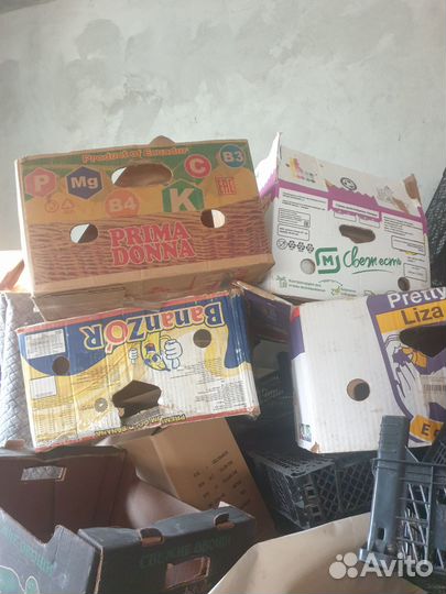 Ящики пластмассовые, деревянные и картонные