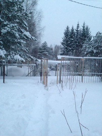 Дом 38 м² на участке 7 сот.