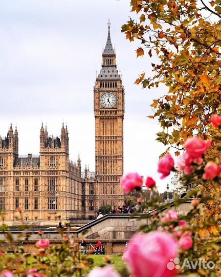 Полный курс по грамматике английского языка