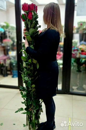 Розы гиганты