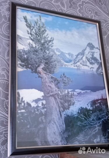 Картины интерьерные фотопечать разные