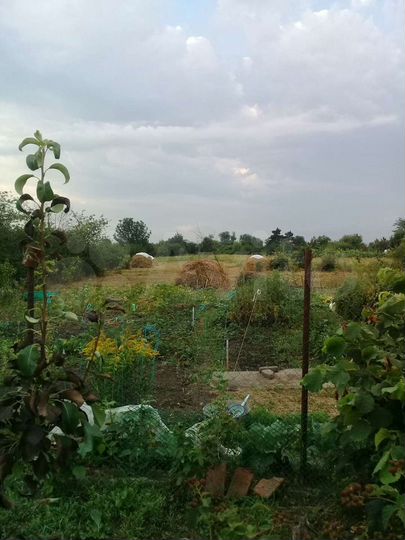 Дом 60 м² на участке 25 сот.