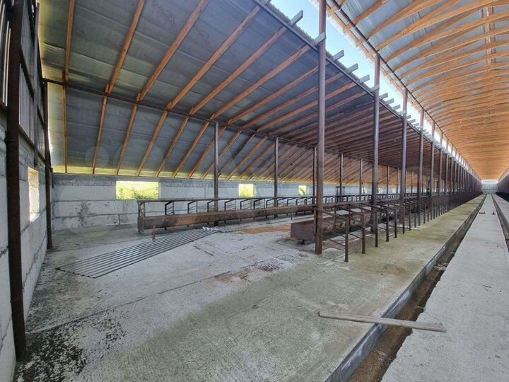 Ферма крс 26000 м²