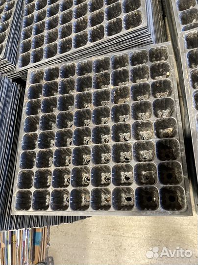 Кассеты для рассады бу