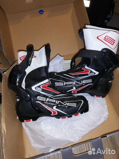 Лыжные ботинки spine