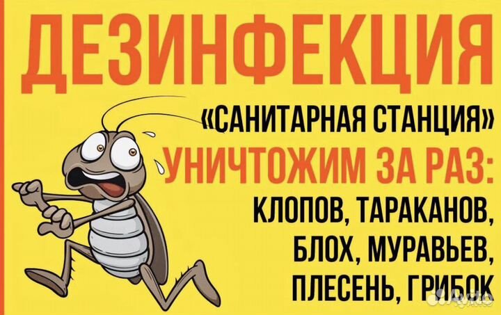 Уничтожение клопов