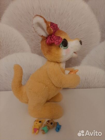 Кенгуру джози