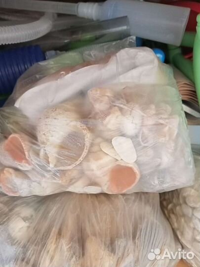 Фильтр, грунт, ракушки, коралл, компрессор