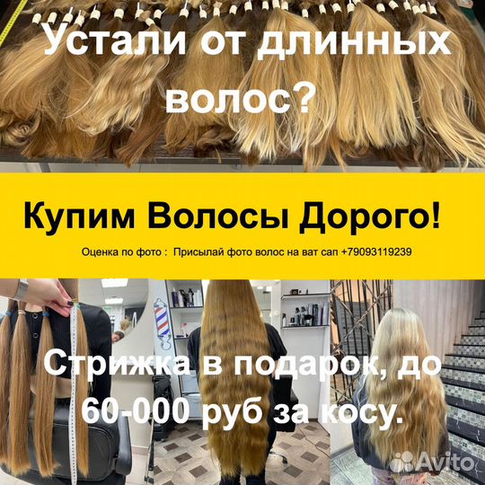 Скупка волос Куйбышев Продать волосы