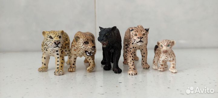 Дикие и домашние кошки разных фирм