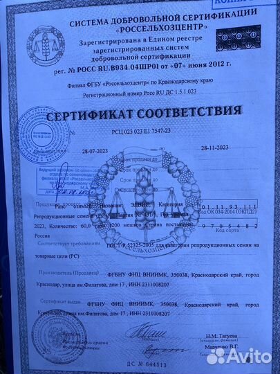 Рапс. семена озимого рапса