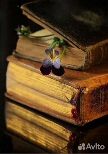 Репетитор по русскому языку и культуре речи