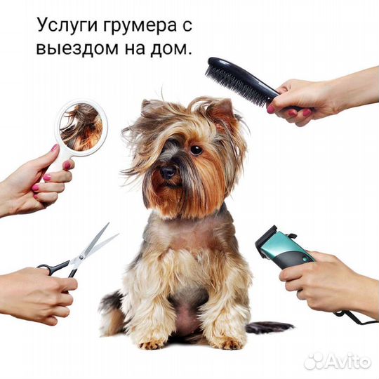 Грумер на дом