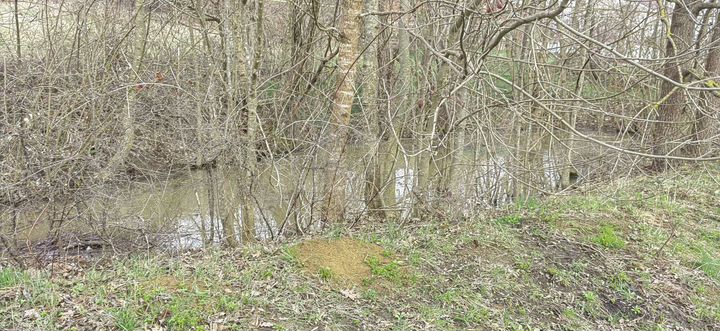 Участок 27 сот. (ИЖС)