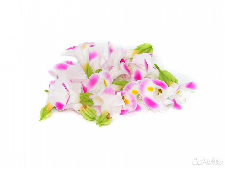 Торения бутон съедобные цветы