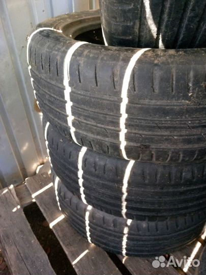 Cordiant Polar 205/55 R16