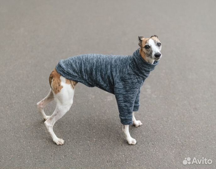 Одежда для уиппета, кофта, флис