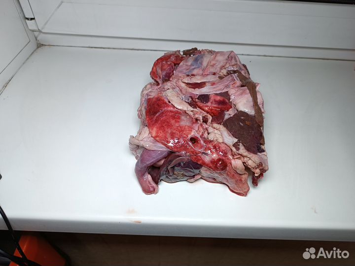 Мясо для собак. Говядина корм люкс