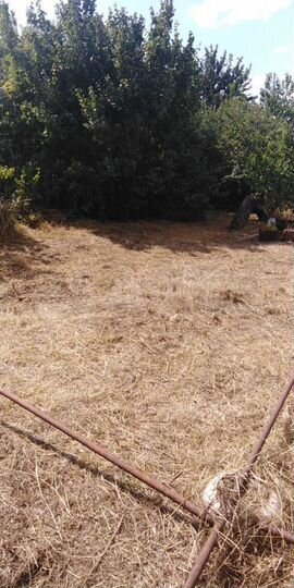 Дача 30 м² на участке 6 сот.