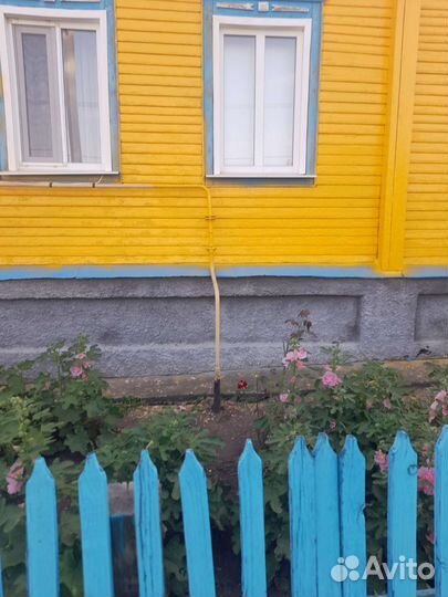 Покраска крыш домов фасадов авто