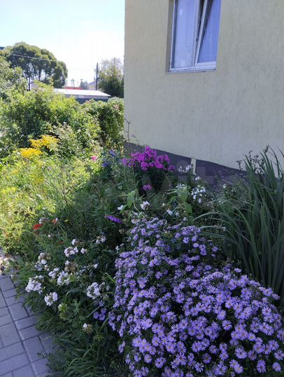 2-к. квартира, 40,4 м², 2/3 эт.