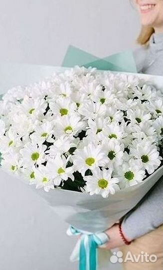 Хризантема Доставка цветов Букеты