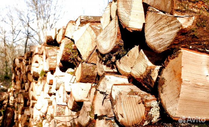 Дрова старой заготовки