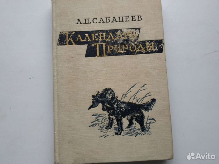 Сабанеев борзые и гончие легавые календарь природы