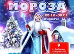 Приёмная Деда Мороза в Солотче