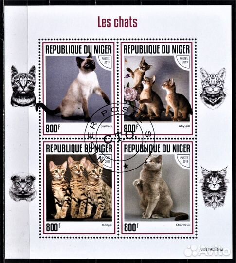 Марки Кошки