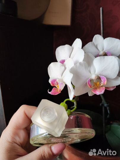 Духи chanel chance