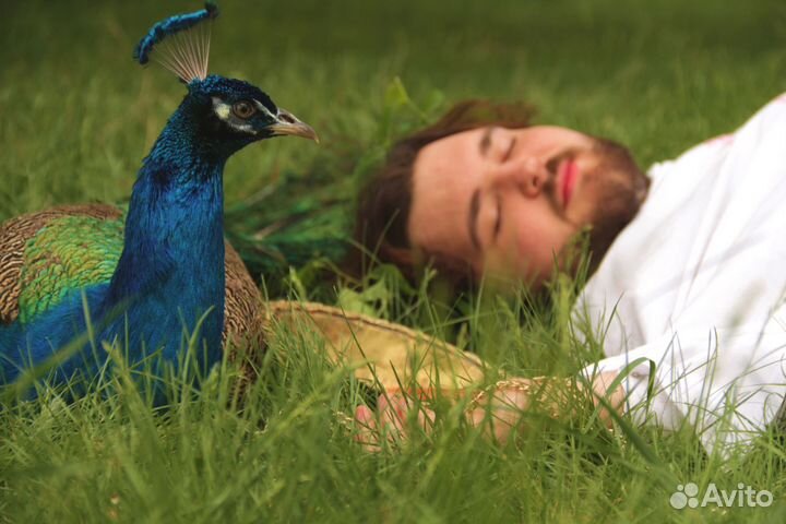 Фотосессия