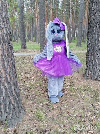 Ростовые куклы Мишка Тедди, зайка