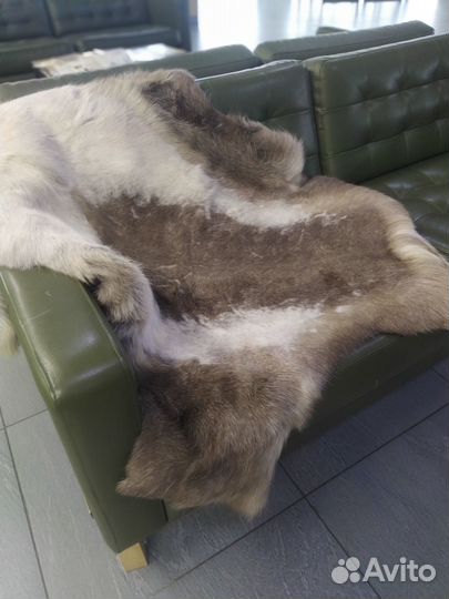 Шкура оленя натуральная