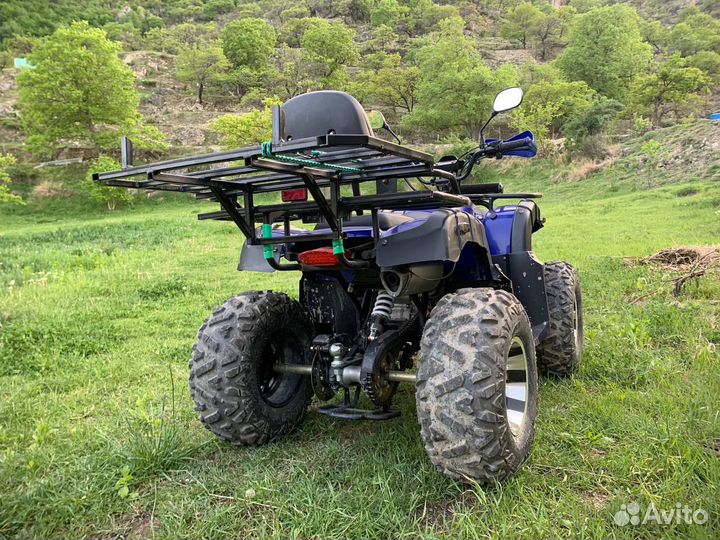 Прокат квадроциклов