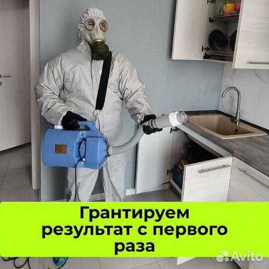 Дезинфекция