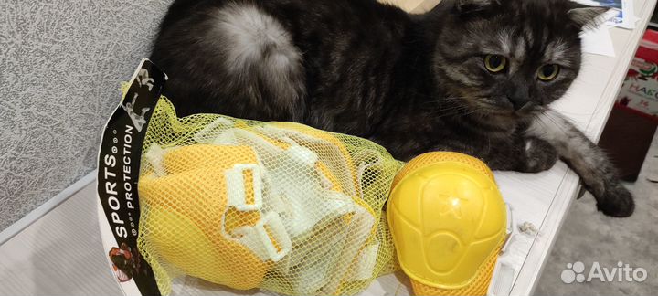 Роликовые коньки Reaction + защита в подарок