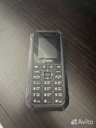 SENSEIT L230, 4 ГБ