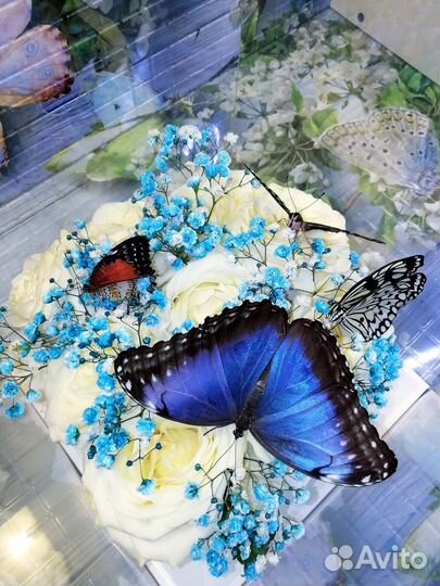 Букет цвет с живыми бабочками в подарочной коробке